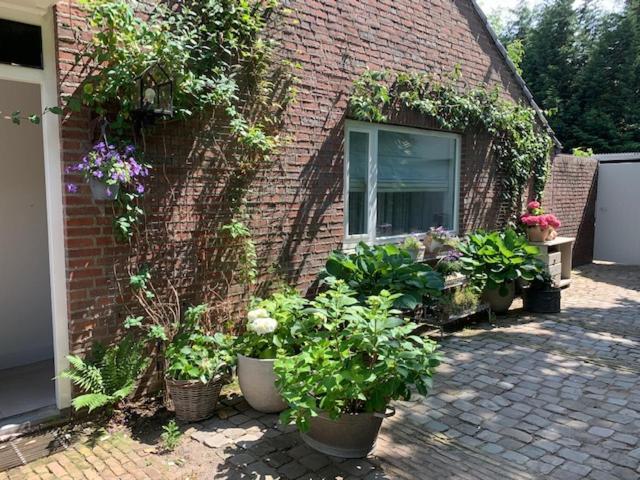 Het Ockhuis Moergestel ภายนอก รูปภาพ